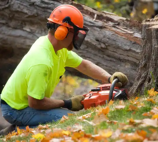 tree services Oak Park Heights